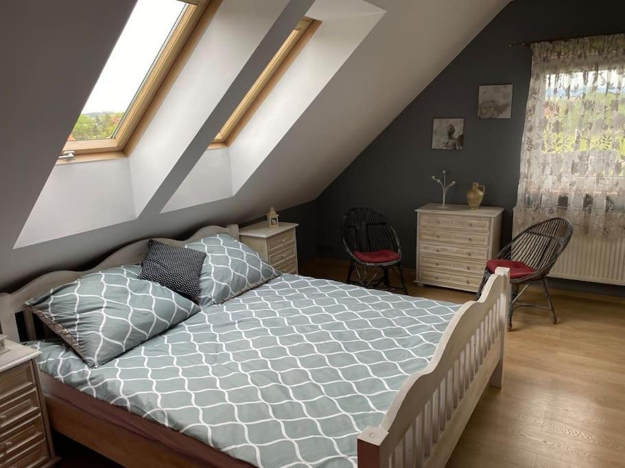 4 Bedroom Family House With Access To A Hot Tub Goczałkowice-Zdrój 外观 照片