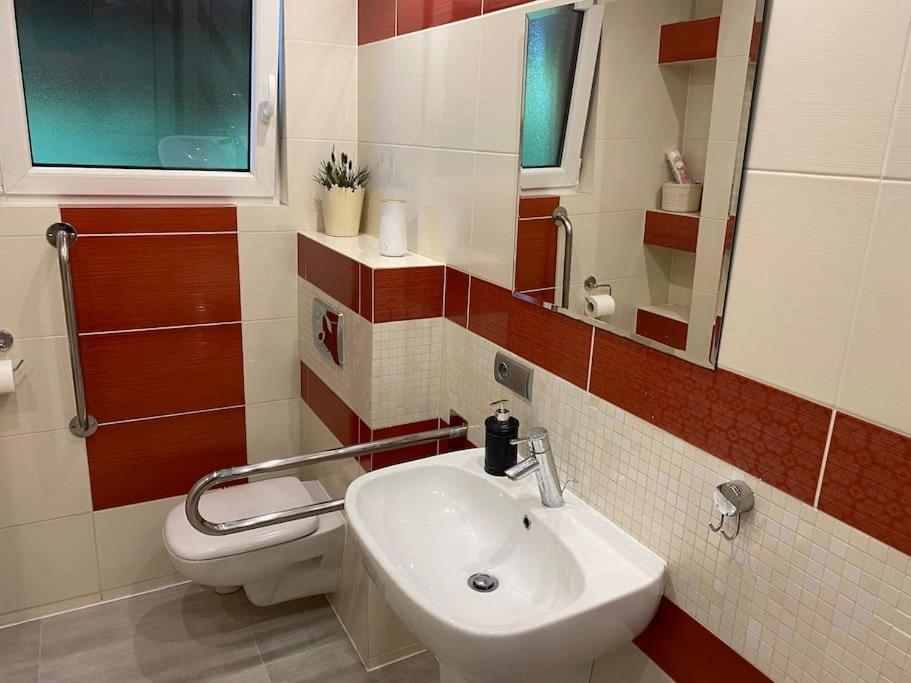 4 Bedroom Family House With Access To A Hot Tub Goczałkowice-Zdrój 外观 照片