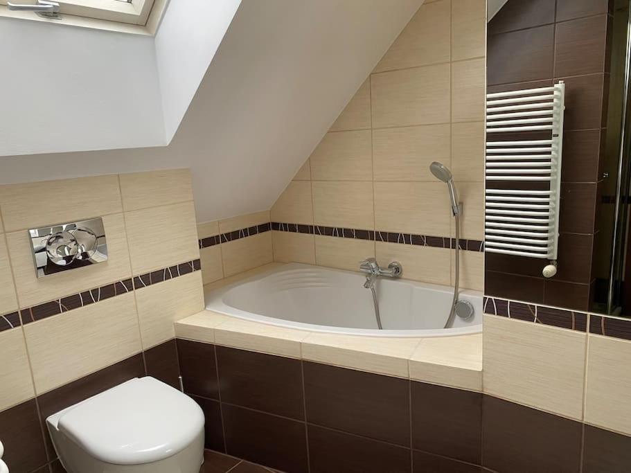 4 Bedroom Family House With Access To A Hot Tub Goczałkowice-Zdrój 外观 照片