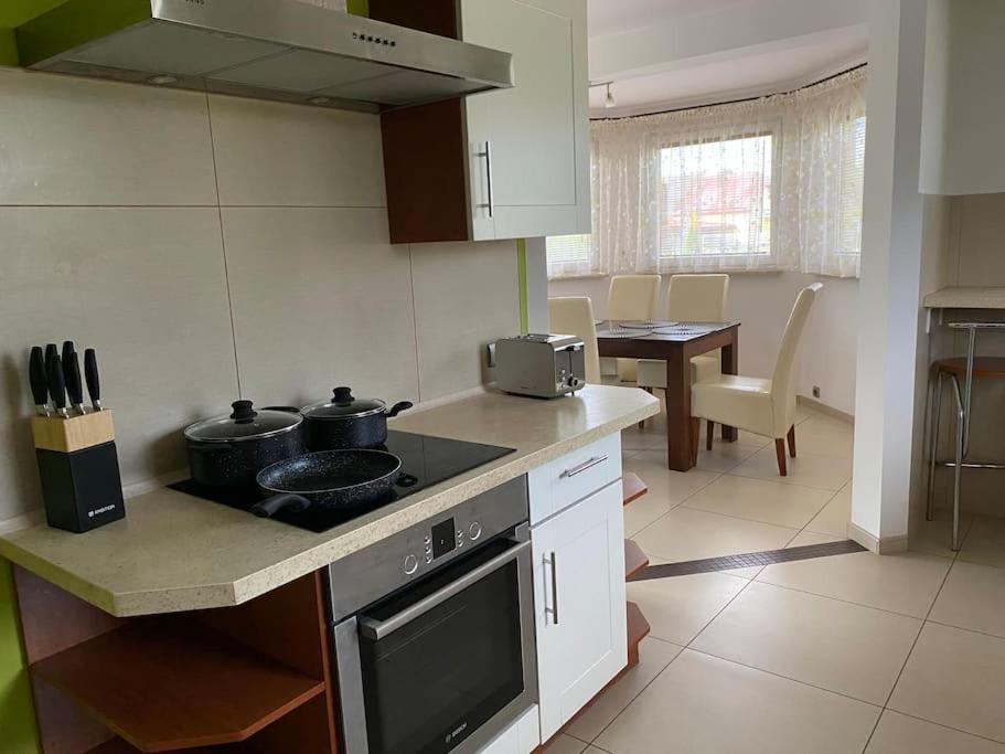 4 Bedroom Family House With Access To A Hot Tub Goczałkowice-Zdrój 外观 照片