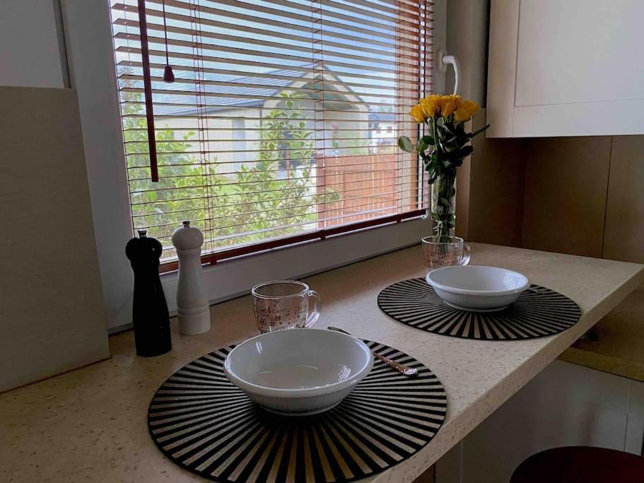 4 Bedroom Family House With Access To A Hot Tub Goczałkowice-Zdrój 外观 照片
